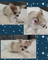 processed/d7071514-71dd-470a-b544-25c036bab607/listing/10129cb9-3654-4dce-9636-a5ea00ec66a8/ca712bd2-15ab-48f1-87c9-3c50bed112fb