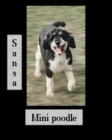 processed/d7071514-71dd-470a-b544-25c036bab607/listing/135c8d30-27b6-4e76-af19-c5f9a88a2d9e/f516d7c0-b740-4ddf-8a0c-1523ba4b01c1