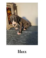 processed/d7071514-71dd-470a-b544-25c036bab607/listing/a52c6fab-5659-4d66-a80c-63244a14830c/c205bfcf-573e-41fd-956d-74d9d556ca3c