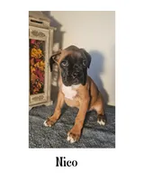 processed/d7071514-71dd-470a-b544-25c036bab607/listing/a621dd77-bb0a-480d-9dbb-b067ee93517f/a400ab87-a6cf-40af-8688-17ede5827e37