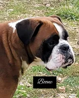 processed/d7071514-71dd-470a-b544-25c036bab607/listing/ba39c0aa-0928-4b15-aaf0-8cd99c52c5d8/03853a1e-14ae-4b08-b025-fccaaafb4279