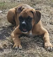 processed/d7071514-71dd-470a-b544-25c036bab607/listing/ba39c0aa-0928-4b15-aaf0-8cd99c52c5d8/0bbfb3a6-b1b5-451c-86bd-955302570e09