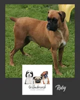 processed/d7071514-71dd-470a-b544-25c036bab607/listing/ba39c0aa-0928-4b15-aaf0-8cd99c52c5d8/d88957e2-a134-4ad1-b6ea-96f430930940