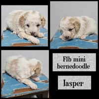 processed/d7071514-71dd-470a-b544-25c036bab607/listing/d2303e22-adeb-453a-9efa-c861fd8941a5/13f02c2b-1cc6-43ca-bb81-5711ccf9ffe4