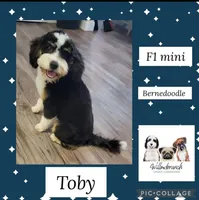 processed/d7071514-71dd-470a-b544-25c036bab607/listing/d2303e22-adeb-453a-9efa-c861fd8941a5/3a76c99f-3253-438a-8592-dc0a46100b32