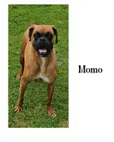 processed/d7071514-71dd-470a-b544-25c036bab607/listing/f1afd12f-48e6-4725-81d0-ab49b5d5228d/734068b9-84ee-4ddf-9951-cf718f403dc0