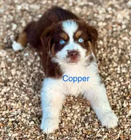 processed/d7147c45-46c0-4f66-b547-7d555c2ff9ae/listing/aac20a2b-a582-4aed-a638-58ab8f9d3a1b/dc62fdd1-7e97-48ca-92e6-aa7babb21f6e