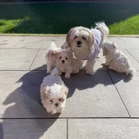 processed/d7156c77-1203-4830-b16c-625e3380378d/facility/de55c5e3-d83f-4796-98fd-0cd1366b0123