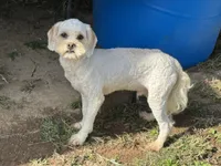 processed/d723b5db-78b9-4d65-8cd0-c814e225653a/listing/a4ae87a4-34ce-4b3a-a423-d82a62dd81a9/1fc1008c-7096-47de-a2bd-0b0f80a1f011