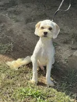 processed/d723b5db-78b9-4d65-8cd0-c814e225653a/listing/a4ae87a4-34ce-4b3a-a423-d82a62dd81a9/439dfa5a-0bc5-4295-9660-25ac07a7ba67