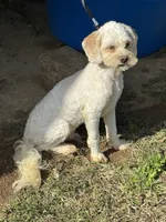 processed/d723b5db-78b9-4d65-8cd0-c814e225653a/listing/a4ae87a4-34ce-4b3a-a423-d82a62dd81a9/46c8a50a-a85e-4855-88d4-bab34257b6d5