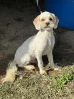 processed/d723b5db-78b9-4d65-8cd0-c814e225653a/listing/a4ae87a4-34ce-4b3a-a423-d82a62dd81a9/4f0212e2-b9d0-43f1-9bbc-9a82bccf472d