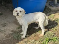 processed/d723b5db-78b9-4d65-8cd0-c814e225653a/listing/a4ae87a4-34ce-4b3a-a423-d82a62dd81a9/5afa3c8d-ac0a-4dfe-a8e9-3d62c87844a9