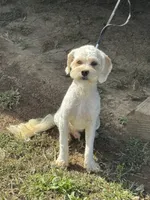 processed/d723b5db-78b9-4d65-8cd0-c814e225653a/listing/a4ae87a4-34ce-4b3a-a423-d82a62dd81a9/69543289-a728-4ea0-895b-62e208737834