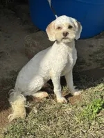 processed/d723b5db-78b9-4d65-8cd0-c814e225653a/listing/a4ae87a4-34ce-4b3a-a423-d82a62dd81a9/b0465275-8b3f-40a1-b46c-def348b7ce38