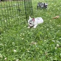 processed/d7269de1-5860-455d-8f53-2a2a1aeadcc1/facility/06b3fce0-e712-4b08-b130-a51cbfec4291