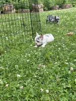 processed/d7269de1-5860-455d-8f53-2a2a1aeadcc1/facility/06b3fce0-e712-4b08-b130-a51cbfec4291