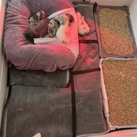 processed/d7269de1-5860-455d-8f53-2a2a1aeadcc1/facility/1e878304-373e-466a-a6ab-da8f920be106