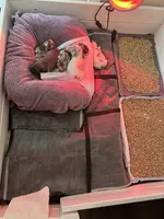 processed/d7269de1-5860-455d-8f53-2a2a1aeadcc1/facility/1e878304-373e-466a-a6ab-da8f920be106