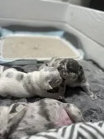 processed/d7269de1-5860-455d-8f53-2a2a1aeadcc1/facility/42837d64-5f79-4284-ab17-1898b6117e5f