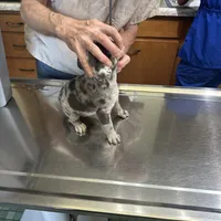 processed/d7269de1-5860-455d-8f53-2a2a1aeadcc1/facility/4da955e3-2886-44ca-98c6-0839c2fbe14e