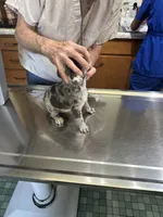 processed/d7269de1-5860-455d-8f53-2a2a1aeadcc1/facility/4da955e3-2886-44ca-98c6-0839c2fbe14e