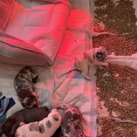 processed/d7269de1-5860-455d-8f53-2a2a1aeadcc1/facility/6095994c-e0ed-40b3-8bd1-d6f6d33c19ac