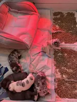 processed/d7269de1-5860-455d-8f53-2a2a1aeadcc1/facility/6095994c-e0ed-40b3-8bd1-d6f6d33c19ac