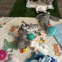 processed/d7269de1-5860-455d-8f53-2a2a1aeadcc1/facility/6164dbf8-e07d-45f7-9c52-dde73b75c093