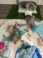 processed/d7269de1-5860-455d-8f53-2a2a1aeadcc1/facility/6164dbf8-e07d-45f7-9c52-dde73b75c093