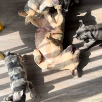 processed/d7269de1-5860-455d-8f53-2a2a1aeadcc1/facility/7a16ecdb-b914-48fc-a4be-bb306a14bd1c