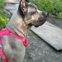 processed/d7269de1-5860-455d-8f53-2a2a1aeadcc1/facility/a3d52cb8-370b-42e6-a582-f406bf11373b