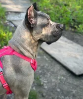 processed/d7269de1-5860-455d-8f53-2a2a1aeadcc1/facility/a3d52cb8-370b-42e6-a582-f406bf11373b