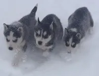 processed/d728084e-47f0-4093-95f9-de52029cd77e/facility/215de659-0512-4bda-bf88-3372483a5a6a