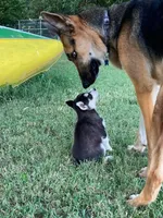 processed/d728084e-47f0-4093-95f9-de52029cd77e/facility/26f6463e-77d6-46be-9c67-9a4b09dc42cd