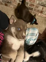 processed/d728084e-47f0-4093-95f9-de52029cd77e/facility/28747fa4-7dab-467d-9be8-e601bd61af44