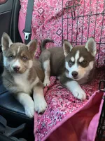 processed/d728084e-47f0-4093-95f9-de52029cd77e/facility/44b9d23c-98c3-4563-afdd-fd7b7310d8c7