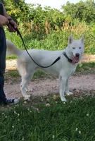 processed/d728084e-47f0-4093-95f9-de52029cd77e/facility/6656ee73-4399-42c0-8f93-8a7b0f38415d