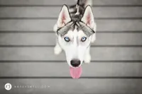 processed/d728084e-47f0-4093-95f9-de52029cd77e/facility/6f1e64dd-85c9-4580-9960-a3b69161fd4b