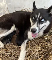 processed/d728084e-47f0-4093-95f9-de52029cd77e/facility/8f5c2b8b-c3d9-463e-babd-6355214561da