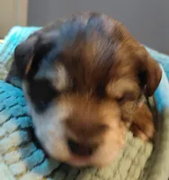 processed/d72cbcef-b302-4ff6-8ef0-abc0fa307742/listing/1030823a-c853-4e66-acb3-d3c5bc020108/aa779cf8-f199-44ce-88b0-db633825eba9