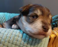 processed/d72cbcef-b302-4ff6-8ef0-abc0fa307742/listing/1030823a-c853-4e66-acb3-d3c5bc020108/d74173c8-ac69-48ac-bc00-8856db0db868