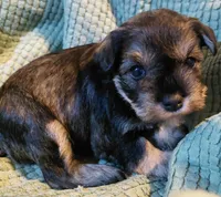 processed/d72cbcef-b302-4ff6-8ef0-abc0fa307742/listing/244c2f41-3b54-41be-bd1a-9bca0340b2b9/d488a2ef-9c38-4751-9d07-a881355a6c49