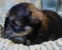 processed/d72cbcef-b302-4ff6-8ef0-abc0fa307742/listing/244c2f41-3b54-41be-bd1a-9bca0340b2b9/e8e8159b-711f-4884-a824-0bc5b1085dee