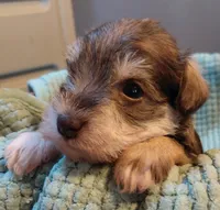 processed/d72cbcef-b302-4ff6-8ef0-abc0fa307742/listing/41905903-7d50-469b-8f97-bb077340af94/17385195-b378-4243-9833-bc20fc61b84c