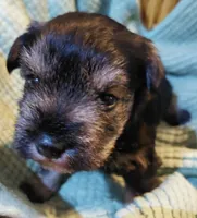 processed/d72cbcef-b302-4ff6-8ef0-abc0fa307742/listing/49d93b98-68da-4873-8112-f760fbbb32bd/3c3ad381-6163-4686-af2c-ad439e865bcc