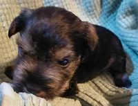 processed/d72cbcef-b302-4ff6-8ef0-abc0fa307742/listing/49d93b98-68da-4873-8112-f760fbbb32bd/731f7ffe-484d-4fa3-b39a-3f550dbc68e2