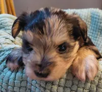 processed/d72cbcef-b302-4ff6-8ef0-abc0fa307742/listing/5829ed99-4b36-4f96-b156-2a01c243bf36/774db731-c5e9-4d05-9fc8-b229b44c237f