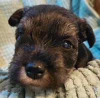 processed/d72cbcef-b302-4ff6-8ef0-abc0fa307742/listing/83a9c9f8-82b8-43d9-8a1f-8ff04fad0d58/96e4bc68-7b9e-4044-92d3-8e6b2b8718f0