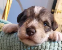 processed/d72cbcef-b302-4ff6-8ef0-abc0fa307742/listing/ad2a8e78-5e0b-49d6-a71b-71df71601f02/36685672-d712-44a0-8dfb-0de4bf53eab6